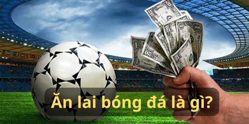Làm giàu từ ăn lai bóng đá như thế nào Làm giàu từ ăn lai bóng đá như thế nào