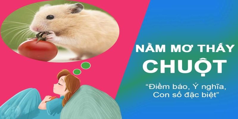 Điềm báo cụ thể của việc mơ thấy chuột Mơ thấy chuột nên đánh con gì?