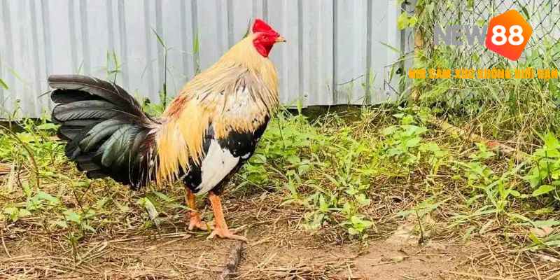 Quản Lý Nước Uống Hợp Lý